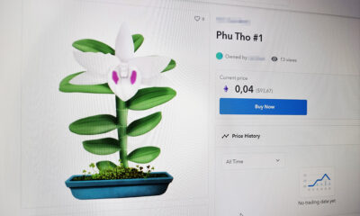 Digital mutant orchids go on sale at cryptocurrency marketplace